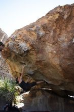 Beth Marek rock climbing on No One Gets Out of Here Alive (V2) in Hueco Tanks State Park and Historic Site during the Hueco Tanks Awesome Fest 2010 trip, Sunday, May 23, 2010.

Filename: SRM_20100523_11062271.JPG
Aperture: f/5.6
Shutter Speed: 1/500
Body: Canon EOS-1D Mark II
Lens: Canon EF 16-35mm f/2.8 L