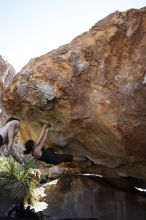 Beth Marek rock climbing on No One Gets Out of Here Alive (V2) in Hueco Tanks State Park and Historic Site during the Hueco Tanks Awesome Fest 2010 trip, Sunday, May 23, 2010.

Filename: SRM_20100523_11062574.JPG
Aperture: f/5.6
Shutter Speed: 1/500
Body: Canon EOS-1D Mark II
Lens: Canon EF 16-35mm f/2.8 L