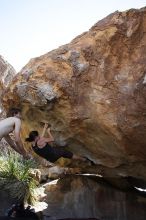 Beth Marek rock climbing on No One Gets Out of Here Alive (V2) in Hueco Tanks State Park and Historic Site during the Hueco Tanks Awesome Fest 2010 trip, Sunday, May 23, 2010.

Filename: SRM_20100523_11062875.JPG
Aperture: f/5.6
Shutter Speed: 1/500
Body: Canon EOS-1D Mark II
Lens: Canon EF 16-35mm f/2.8 L