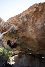 Beth Marek rock climbing on No One Gets Out of Here Alive (V2) in Hueco Tanks State Park and Historic Site during the Hueco Tanks Awesome Fest 2010 trip, Sunday, May 23, 2010.

Filename: SRM_20100523_11063778.JPG
Aperture: f/5.6
Shutter Speed: 1/500
Body: Canon EOS-1D Mark II
Lens: Canon EF 16-35mm f/2.8 L