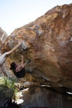 Beth Marek rock climbing on No One Gets Out of Here Alive (V2) in Hueco Tanks State Park and Historic Site during the Hueco Tanks Awesome Fest 2010 trip, Sunday, May 23, 2010.

Filename: SRM_20100523_11063779.JPG
Aperture: f/5.6
Shutter Speed: 1/500
Body: Canon EOS-1D Mark II
Lens: Canon EF 16-35mm f/2.8 L