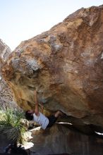 Javier Morales rock climbing on No One Gets Out of Here Alive (V2) in Hueco Tanks State Park and Historic Site during the Hueco Tanks Awesome Fest 2010 trip, Sunday, May 23, 2010.

Filename: SRM_20100523_11073888.JPG
Aperture: f/5.6
Shutter Speed: 1/500
Body: Canon EOS-1D Mark II
Lens: Canon EF 16-35mm f/2.8 L