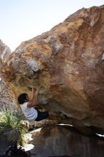 Javier Morales rock climbing on No One Gets Out of Here Alive (V2) in Hueco Tanks State Park and Historic Site during the Hueco Tanks Awesome Fest 2010 trip, Sunday, May 23, 2010.

Filename: SRM_20100523_11074489.JPG
Aperture: f/5.6
Shutter Speed: 1/500
Body: Canon EOS-1D Mark II
Lens: Canon EF 16-35mm f/2.8 L