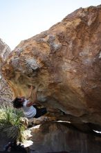 Javier Morales rock climbing on No One Gets Out of Here Alive (V2) in Hueco Tanks State Park and Historic Site during the Hueco Tanks Awesome Fest 2010 trip, Sunday, May 23, 2010.

Filename: SRM_20100523_11074590.JPG
Aperture: f/5.6
Shutter Speed: 1/500
Body: Canon EOS-1D Mark II
Lens: Canon EF 16-35mm f/2.8 L