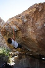 Javier Morales rock climbing on No One Gets Out of Here Alive (V2) in Hueco Tanks State Park and Historic Site during the Hueco Tanks Awesome Fest 2010 trip, Sunday, May 23, 2010.

Filename: SRM_20100523_11074691.JPG
Aperture: f/5.6
Shutter Speed: 1/500
Body: Canon EOS-1D Mark II
Lens: Canon EF 16-35mm f/2.8 L