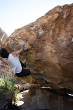 Javier Morales rock climbing on No One Gets Out of Here Alive (V2) in Hueco Tanks State Park and Historic Site during the Hueco Tanks Awesome Fest 2010 trip, Sunday, May 23, 2010.

Filename: SRM_20100523_11075593.JPG
Aperture: f/5.6
Shutter Speed: 1/500
Body: Canon EOS-1D Mark II
Lens: Canon EF 16-35mm f/2.8 L