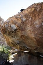 Javier Morales rock climbing on No One Gets Out of Here Alive (V2) in Hueco Tanks State Park and Historic Site during the Hueco Tanks Awesome Fest 2010 trip, Sunday, May 23, 2010.

Filename: SRM_20100523_11083810.JPG
Aperture: f/5.6
Shutter Speed: 1/500
Body: Canon EOS-1D Mark II
Lens: Canon EF 16-35mm f/2.8 L