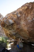 Steve Marek rock climbing on No One Gets Out of Here Alive (V2) in Hueco Tanks State Park and Historic Site during the Hueco Tanks Awesome Fest 2010 trip, Sunday, May 23, 2010.

Filename: SRM_20100523_11105312.JPG
Aperture: f/5.6
Shutter Speed: 1/500
Body: Canon EOS-1D Mark II
Lens: Canon EF 16-35mm f/2.8 L