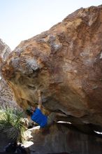 Steve Marek rock climbing on No One Gets Out of Here Alive (V2) in Hueco Tanks State Park and Historic Site during the Hueco Tanks Awesome Fest 2010 trip, Sunday, May 23, 2010.

Filename: SRM_20100523_11110416.JPG
Aperture: f/5.6
Shutter Speed: 1/500
Body: Canon EOS-1D Mark II
Lens: Canon EF 16-35mm f/2.8 L