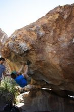 Steve Marek rock climbing on No One Gets Out of Here Alive (V2) in Hueco Tanks State Park and Historic Site during the Hueco Tanks Awesome Fest 2010 trip, Sunday, May 23, 2010.

Filename: SRM_20100523_11111219.JPG
Aperture: f/5.6
Shutter Speed: 1/500
Body: Canon EOS-1D Mark II
Lens: Canon EF 16-35mm f/2.8 L