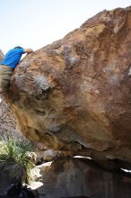 Steve Marek rock climbing on No One Gets Out of Here Alive (V2) in Hueco Tanks State Park and Historic Site during the Hueco Tanks Awesome Fest 2010 trip, Sunday, May 23, 2010.

Filename: SRM_20100523_11114130.JPG
Aperture: f/5.6
Shutter Speed: 1/500
Body: Canon EOS-1D Mark II
Lens: Canon EF 16-35mm f/2.8 L