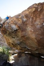 Steve Marek rock climbing on No One Gets Out of Here Alive (V2) in Hueco Tanks State Park and Historic Site during the Hueco Tanks Awesome Fest 2010 trip, Sunday, May 23, 2010.

Filename: SRM_20100523_11114431.JPG
Aperture: f/5.6
Shutter Speed: 1/500
Body: Canon EOS-1D Mark II
Lens: Canon EF 16-35mm f/2.8 L