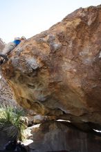 Steve Marek rock climbing on No One Gets Out of Here Alive (V2) in Hueco Tanks State Park and Historic Site during the Hueco Tanks Awesome Fest 2010 trip, Sunday, May 23, 2010.

Filename: SRM_20100523_11114532.JPG
Aperture: f/5.6
Shutter Speed: 1/500
Body: Canon EOS-1D Mark II
Lens: Canon EF 16-35mm f/2.8 L