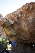 Cayce Wilson rock climbing on No One Gets Out of Here Alive (V2) in Hueco Tanks State Park and Historic Site during the Hueco Tanks Awesome Fest 2010 trip, Sunday, May 23, 2010.

Filename: SRM_20100523_11154948.JPG
Aperture: f/5.6
Shutter Speed: 1/500
Body: Canon EOS-1D Mark II
Lens: Canon EF 16-35mm f/2.8 L