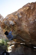 Cayce Wilson rock climbing on No One Gets Out of Here Alive (V2) in Hueco Tanks State Park and Historic Site during the Hueco Tanks Awesome Fest 2010 trip, Sunday, May 23, 2010.

Filename: SRM_20100523_11155651.JPG
Aperture: f/5.6
Shutter Speed: 1/500
Body: Canon EOS-1D Mark II
Lens: Canon EF 16-35mm f/2.8 L