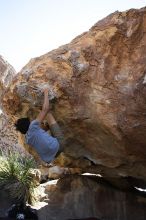 Cayce Wilson rock climbing on No One Gets Out of Here Alive (V2) in Hueco Tanks State Park and Historic Site during the Hueco Tanks Awesome Fest 2010 trip, Sunday, May 23, 2010.

Filename: SRM_20100523_11160553.JPG
Aperture: f/5.6
Shutter Speed: 1/500
Body: Canon EOS-1D Mark II
Lens: Canon EF 16-35mm f/2.8 L