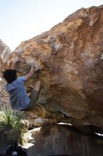 Cayce Wilson rock climbing on No One Gets Out of Here Alive (V2) in Hueco Tanks State Park and Historic Site during the Hueco Tanks Awesome Fest 2010 trip, Sunday, May 23, 2010.

Filename: SRM_20100523_11160754.JPG
Aperture: f/5.6
Shutter Speed: 1/500
Body: Canon EOS-1D Mark II
Lens: Canon EF 16-35mm f/2.8 L