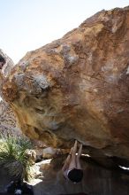 Sarah Williams rock climbing on No One Gets Out of Here Alive (V2) in Hueco Tanks State Park and Historic Site during the Hueco Tanks Awesome Fest 2010 trip, Sunday, May 23, 2010.

Filename: SRM_20100523_11165655.JPG
Aperture: f/5.6
Shutter Speed: 1/500
Body: Canon EOS-1D Mark II
Lens: Canon EF 16-35mm f/2.8 L