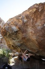 Sarah Williams rock climbing on No One Gets Out of Here Alive (V2) in Hueco Tanks State Park and Historic Site during the Hueco Tanks Awesome Fest 2010 trip, Sunday, May 23, 2010.

Filename: SRM_20100523_11170356.JPG
Aperture: f/5.6
Shutter Speed: 1/500
Body: Canon EOS-1D Mark II
Lens: Canon EF 16-35mm f/2.8 L