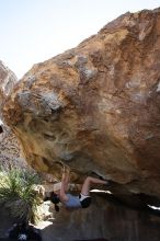 Sarah Williams rock climbing on No One Gets Out of Here Alive (V2) in Hueco Tanks State Park and Historic Site during the Hueco Tanks Awesome Fest 2010 trip, Sunday, May 23, 2010.

Filename: SRM_20100523_11170757.JPG
Aperture: f/5.6
Shutter Speed: 1/500
Body: Canon EOS-1D Mark II
Lens: Canon EF 16-35mm f/2.8 L