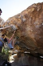 Sarah Williams rock climbing on No One Gets Out of Here Alive (V2) in Hueco Tanks State Park and Historic Site during the Hueco Tanks Awesome Fest 2010 trip, Sunday, May 23, 2010.

Filename: SRM_20100523_11172961.JPG
Aperture: f/5.6
Shutter Speed: 1/500
Body: Canon EOS-1D Mark II
Lens: Canon EF 16-35mm f/2.8 L