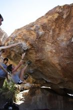 Sarah Williams rock climbing on No One Gets Out of Here Alive (V2) in Hueco Tanks State Park and Historic Site during the Hueco Tanks Awesome Fest 2010 trip, Sunday, May 23, 2010.

Filename: SRM_20100523_11172962.JPG
Aperture: f/5.6
Shutter Speed: 1/500
Body: Canon EOS-1D Mark II
Lens: Canon EF 16-35mm f/2.8 L