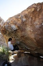 Javier Morales rock climbing on No One Gets Out of Here Alive (V2) in Hueco Tanks State Park and Historic Site during the Hueco Tanks Awesome Fest 2010 trip, Sunday, May 23, 2010.

Filename: SRM_20100523_11201169.JPG
Aperture: f/5.6
Shutter Speed: 1/500
Body: Canon EOS-1D Mark II
Lens: Canon EF 16-35mm f/2.8 L