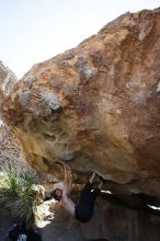 Andrew Dreher rock climbing on No One Gets Out of Here Alive (V2) in Hueco Tanks State Park and Historic Site during the Hueco Tanks Awesome Fest 2010 trip, Sunday, May 23, 2010.

Filename: SRM_20100523_11223077.JPG
Aperture: f/5.6
Shutter Speed: 1/500
Body: Canon EOS-1D Mark II
Lens: Canon EF 16-35mm f/2.8 L