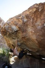 Andrew Dreher rock climbing on No One Gets Out of Here Alive (V2) in Hueco Tanks State Park and Historic Site during the Hueco Tanks Awesome Fest 2010 trip, Sunday, May 23, 2010.

Filename: SRM_20100523_11223379.JPG
Aperture: f/5.6
Shutter Speed: 1/500
Body: Canon EOS-1D Mark II
Lens: Canon EF 16-35mm f/2.8 L