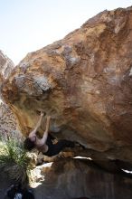 Andrew Dreher rock climbing on No One Gets Out of Here Alive (V2) in Hueco Tanks State Park and Historic Site during the Hueco Tanks Awesome Fest 2010 trip, Sunday, May 23, 2010.

Filename: SRM_20100523_11223882.JPG
Aperture: f/5.6
Shutter Speed: 1/500
Body: Canon EOS-1D Mark II
Lens: Canon EF 16-35mm f/2.8 L