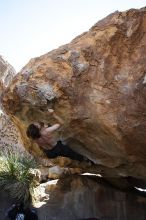 Andrew Dreher rock climbing on No One Gets Out of Here Alive (V2) in Hueco Tanks State Park and Historic Site during the Hueco Tanks Awesome Fest 2010 trip, Sunday, May 23, 2010.

Filename: SRM_20100523_11223984.JPG
Aperture: f/5.6
Shutter Speed: 1/500
Body: Canon EOS-1D Mark II
Lens: Canon EF 16-35mm f/2.8 L