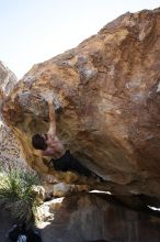 Andrew Dreher rock climbing on No One Gets Out of Here Alive (V2) in Hueco Tanks State Park and Historic Site during the Hueco Tanks Awesome Fest 2010 trip, Sunday, May 23, 2010.

Filename: SRM_20100523_11223985.JPG
Aperture: f/5.6
Shutter Speed: 1/500
Body: Canon EOS-1D Mark II
Lens: Canon EF 16-35mm f/2.8 L