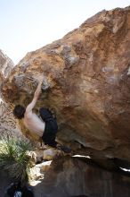 Andrew Dreher rock climbing on No One Gets Out of Here Alive (V2) in Hueco Tanks State Park and Historic Site during the Hueco Tanks Awesome Fest 2010 trip, Sunday, May 23, 2010.

Filename: SRM_20100523_11224387.JPG
Aperture: f/5.6
Shutter Speed: 1/500
Body: Canon EOS-1D Mark II
Lens: Canon EF 16-35mm f/2.8 L