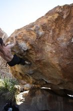 Andrew Dreher rock climbing on No One Gets Out of Here Alive (V2) in Hueco Tanks State Park and Historic Site during the Hueco Tanks Awesome Fest 2010 trip, Sunday, May 23, 2010.

Filename: SRM_20100523_11224889.JPG
Aperture: f/5.6
Shutter Speed: 1/500
Body: Canon EOS-1D Mark II
Lens: Canon EF 16-35mm f/2.8 L