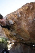 Andrew Dreher rock climbing on No One Gets Out of Here Alive (V2) in Hueco Tanks State Park and Historic Site during the Hueco Tanks Awesome Fest 2010 trip, Sunday, May 23, 2010.

Filename: SRM_20100523_11225191.JPG
Aperture: f/5.6
Shutter Speed: 1/500
Body: Canon EOS-1D Mark II
Lens: Canon EF 16-35mm f/2.8 L