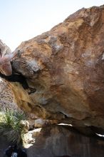 Andrew Dreher rock climbing on No One Gets Out of Here Alive (V2) in Hueco Tanks State Park and Historic Site during the Hueco Tanks Awesome Fest 2010 trip, Sunday, May 23, 2010.

Filename: SRM_20100523_11225292.JPG
Aperture: f/5.6
Shutter Speed: 1/500
Body: Canon EOS-1D Mark II
Lens: Canon EF 16-35mm f/2.8 L