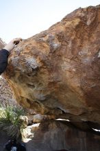 Andrew Dreher rock climbing on No One Gets Out of Here Alive (V2) in Hueco Tanks State Park and Historic Site during the Hueco Tanks Awesome Fest 2010 trip, Sunday, May 23, 2010.

Filename: SRM_20100523_11230196.JPG
Aperture: f/5.6
Shutter Speed: 1/500
Body: Canon EOS-1D Mark II
Lens: Canon EF 16-35mm f/2.8 L