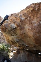 Andrew Dreher rock climbing on No One Gets Out of Here Alive (V2) in Hueco Tanks State Park and Historic Site during the Hueco Tanks Awesome Fest 2010 trip, Sunday, May 23, 2010.

Filename: SRM_20100523_11230598.JPG
Aperture: f/5.6
Shutter Speed: 1/500
Body: Canon EOS-1D Mark II
Lens: Canon EF 16-35mm f/2.8 L