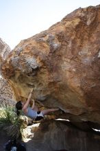 Sarah Williams rock climbing on No One Gets Out of Here Alive (V2) in Hueco Tanks State Park and Historic Site during the Hueco Tanks Awesome Fest 2010 trip, Sunday, May 23, 2010.

Filename: SRM_20100523_11241201.JPG
Aperture: f/5.6
Shutter Speed: 1/500
Body: Canon EOS-1D Mark II
Lens: Canon EF 16-35mm f/2.8 L