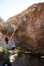 Sarah Williams rock climbing on No One Gets Out of Here Alive (V2) in Hueco Tanks State Park and Historic Site during the Hueco Tanks Awesome Fest 2010 trip, Sunday, May 23, 2010.

Filename: SRM_20100523_11242006.JPG
Aperture: f/5.6
Shutter Speed: 1/500
Body: Canon EOS-1D Mark II
Lens: Canon EF 16-35mm f/2.8 L