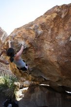 Sarah Williams rock climbing on No One Gets Out of Here Alive (V2) in Hueco Tanks State Park and Historic Site during the Hueco Tanks Awesome Fest 2010 trip, Sunday, May 23, 2010.

Filename: SRM_20100523_11243209.JPG
Aperture: f/5.6
Shutter Speed: 1/500
Body: Canon EOS-1D Mark II
Lens: Canon EF 16-35mm f/2.8 L