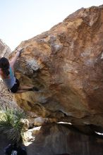 Sarah Williams rock climbing on No One Gets Out of Here Alive (V2) in Hueco Tanks State Park and Historic Site during the Hueco Tanks Awesome Fest 2010 trip, Sunday, May 23, 2010.

Filename: SRM_20100523_11243510.JPG
Aperture: f/5.6
Shutter Speed: 1/500
Body: Canon EOS-1D Mark II
Lens: Canon EF 16-35mm f/2.8 L