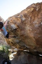 Sarah Williams rock climbing on No One Gets Out of Here Alive (V2) in Hueco Tanks State Park and Historic Site during the Hueco Tanks Awesome Fest 2010 trip, Sunday, May 23, 2010.

Filename: SRM_20100523_11243611.JPG
Aperture: f/5.6
Shutter Speed: 1/500
Body: Canon EOS-1D Mark II
Lens: Canon EF 16-35mm f/2.8 L