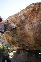 Sarah Williams rock climbing on No One Gets Out of Here Alive (V2) in Hueco Tanks State Park and Historic Site during the Hueco Tanks Awesome Fest 2010 trip, Sunday, May 23, 2010.

Filename: SRM_20100523_11244412.JPG
Aperture: f/5.6
Shutter Speed: 1/500
Body: Canon EOS-1D Mark II
Lens: Canon EF 16-35mm f/2.8 L