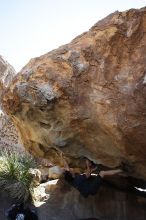 Raanan Robertson rock climbing on No One Gets Out of Here Alive (V2) in Hueco Tanks State Park and Historic Site during the Hueco Tanks Awesome Fest 2010 trip, Sunday, May 23, 2010.

Filename: SRM_20100523_11260215.JPG
Aperture: f/5.6
Shutter Speed: 1/500
Body: Canon EOS-1D Mark II
Lens: Canon EF 16-35mm f/2.8 L