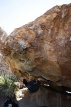 Raanan Robertson rock climbing on No One Gets Out of Here Alive (V2) in Hueco Tanks State Park and Historic Site during the Hueco Tanks Awesome Fest 2010 trip, Sunday, May 23, 2010.

Filename: SRM_20100523_11260416.JPG
Aperture: f/5.6
Shutter Speed: 1/500
Body: Canon EOS-1D Mark II
Lens: Canon EF 16-35mm f/2.8 L