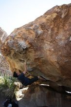 Raanan Robertson rock climbing on Pull the Pin in Hueco Tanks State Park and Historic Site during the Hueco Tanks Awesome Fest 2010 trip, Sunday, May 23, 2010.

Filename: SRM_20100523_11260818.JPG
Aperture: f/5.6
Shutter Speed: 1/500
Body: Canon EOS-1D Mark II
Lens: Canon EF 16-35mm f/2.8 L