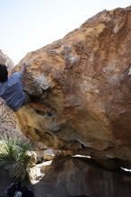 Cayce Wilson rock climbing on No One Gets Out of Here Alive (V2) in Hueco Tanks State Park and Historic Site during the Hueco Tanks Awesome Fest 2010 trip, Sunday, May 23, 2010.

Filename: SRM_20100523_11294934.JPG
Aperture: f/5.6
Shutter Speed: 1/500
Body: Canon EOS-1D Mark II
Lens: Canon EF 16-35mm f/2.8 L