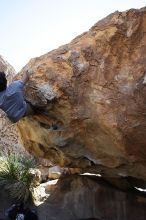 Cayce Wilson rock climbing on No One Gets Out of Here Alive (V2) in Hueco Tanks State Park and Historic Site during the Hueco Tanks Awesome Fest 2010 trip, Sunday, May 23, 2010.

Filename: SRM_20100523_11294935.JPG
Aperture: f/5.6
Shutter Speed: 1/500
Body: Canon EOS-1D Mark II
Lens: Canon EF 16-35mm f/2.8 L