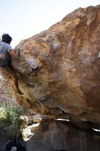 Cayce Wilson rock climbing on No One Gets Out of Here Alive (V2) in Hueco Tanks State Park and Historic Site during the Hueco Tanks Awesome Fest 2010 trip, Sunday, May 23, 2010.

Filename: SRM_20100523_11295538.JPG
Aperture: f/5.6
Shutter Speed: 1/500
Body: Canon EOS-1D Mark II
Lens: Canon EF 16-35mm f/2.8 L